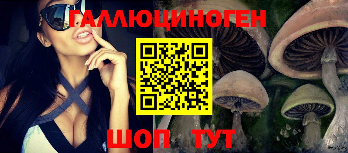 Псилоцибиновые грибы Psilocybine cubensis Асино