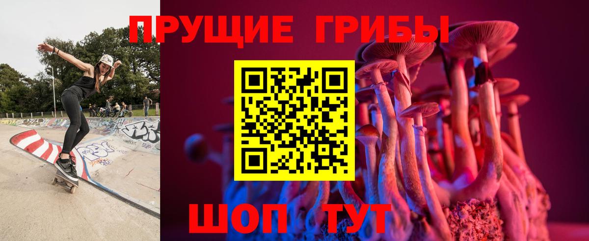 Псилоцибиновые грибы прущие грибы  Вход с VPN  Галлюциногенные грибы мицелий  Асино 